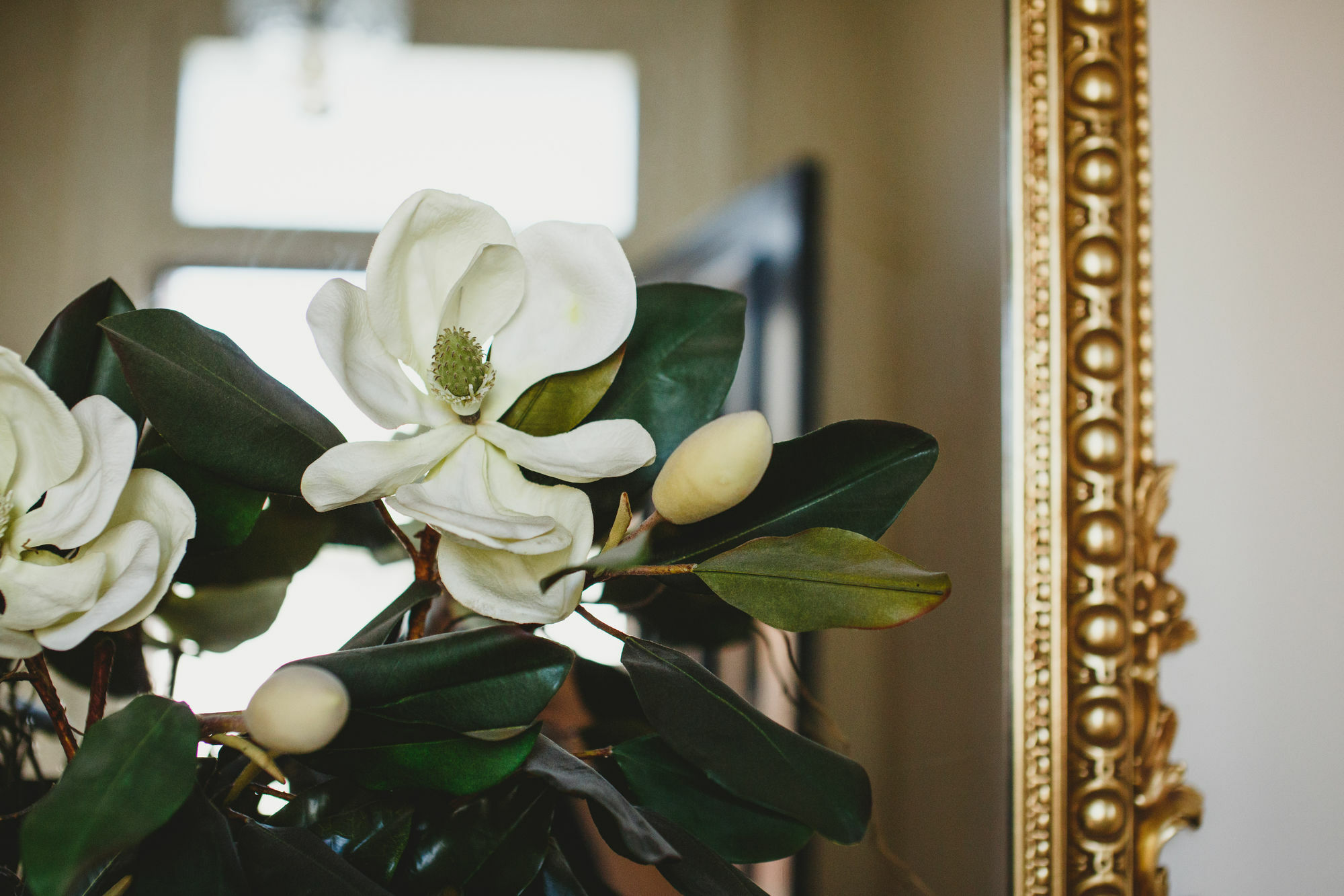 Grand Old Duke Aparthotel Hobart Bagian luar foto